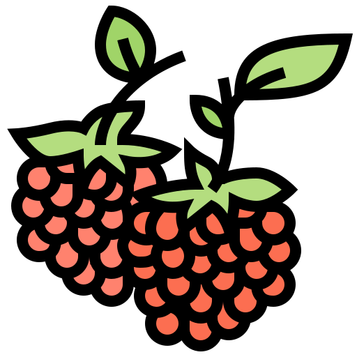 Raspberry icon