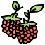 Raspberry 상 64x64