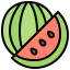 Watermelon icon 64x64