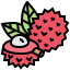 Lychee icon 64x64