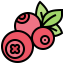 Blueberry icon 64x64