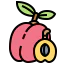 Plum icon 64x64