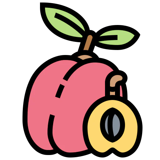Plum icon
