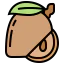Sapodilla icon 64x64