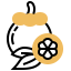 Mangosteen icon 64x64