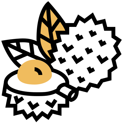 Lychee icon