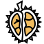 Durian icon 64x64