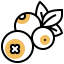 Blueberry icon 64x64