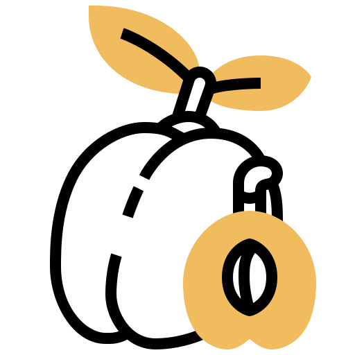 Plum icon