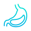 Stomach icon 64x64