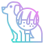 Dermatology icon 64x64