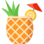 Cocktail icon 64x64