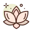 Lotus icon 64x64