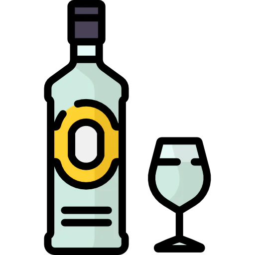 Gin icon