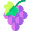 Grape icon 64x64