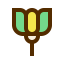 Lotus icon 64x64