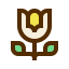 Lotus icon 64x64