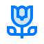 Lotus icon 64x64