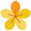 Flower icon 64x64