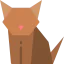 Cat icon 64x64