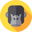Gorilla Ikona 64x64