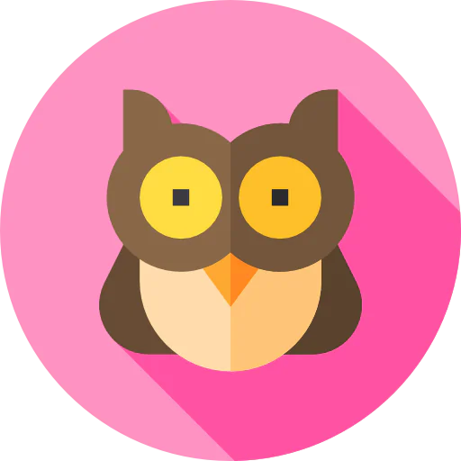 Owl icon