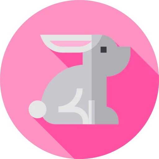 Rabbit icon