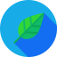 Leaf icon 64x64