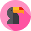 Toucan icon 64x64