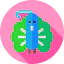 Peacock icon 64x64
