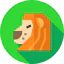 Lion icon 64x64