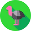 Ostrich Symbol 64x64