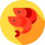 Shrimps icon 64x64