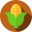Corn icon 64x64