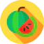 Watermelon icon 64x64