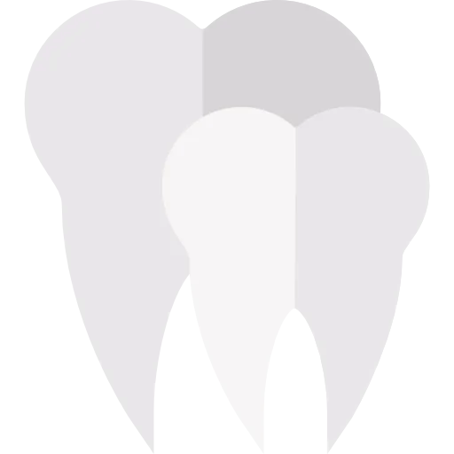 Molar icon