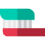 Toothpaste icon 64x64