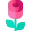 Rose icon 64x64