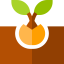 Germination icon 64x64