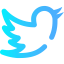 Twitter icon 64x64
