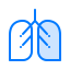 Lungs icon 64x64
