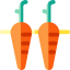 Carrot icon 64x64