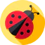 Ladybug icon 64x64