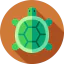 Turtle icon 64x64