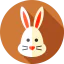 Rabbit icon 64x64
