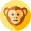 Monkey icon 64x64