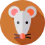 Mouse icon 64x64