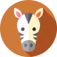 Zebra Symbol 64x64