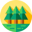 Forest icon 64x64