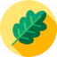 Leaf icon 64x64
